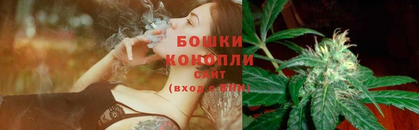 ешки Лагань