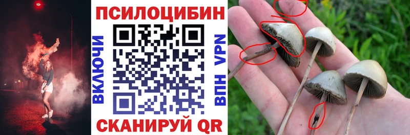 Псилоцибиновые грибы Cubensis  Медвежьегорск 